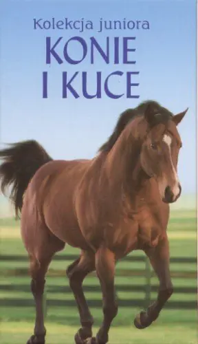 Książka - Konie i kuce. Kolekcja juniora