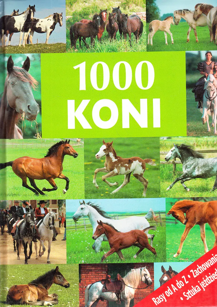 Książka - 1000 koni
