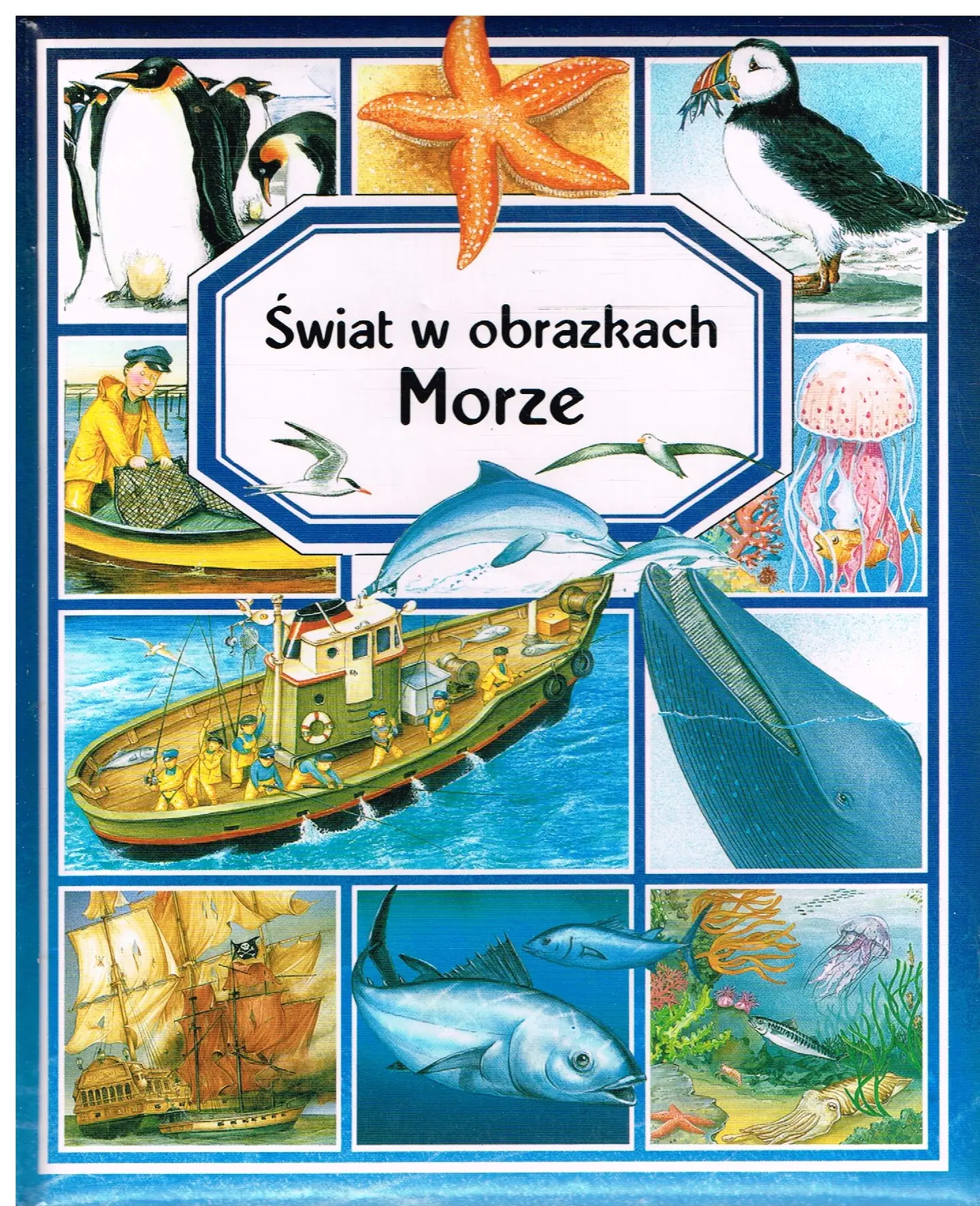 Książka - Morze. Świat w obrazkach