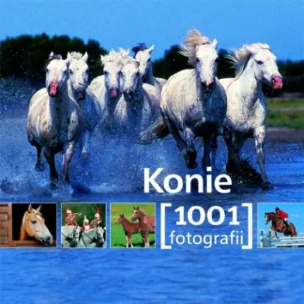 Książka - Konie. 1001 fotografii