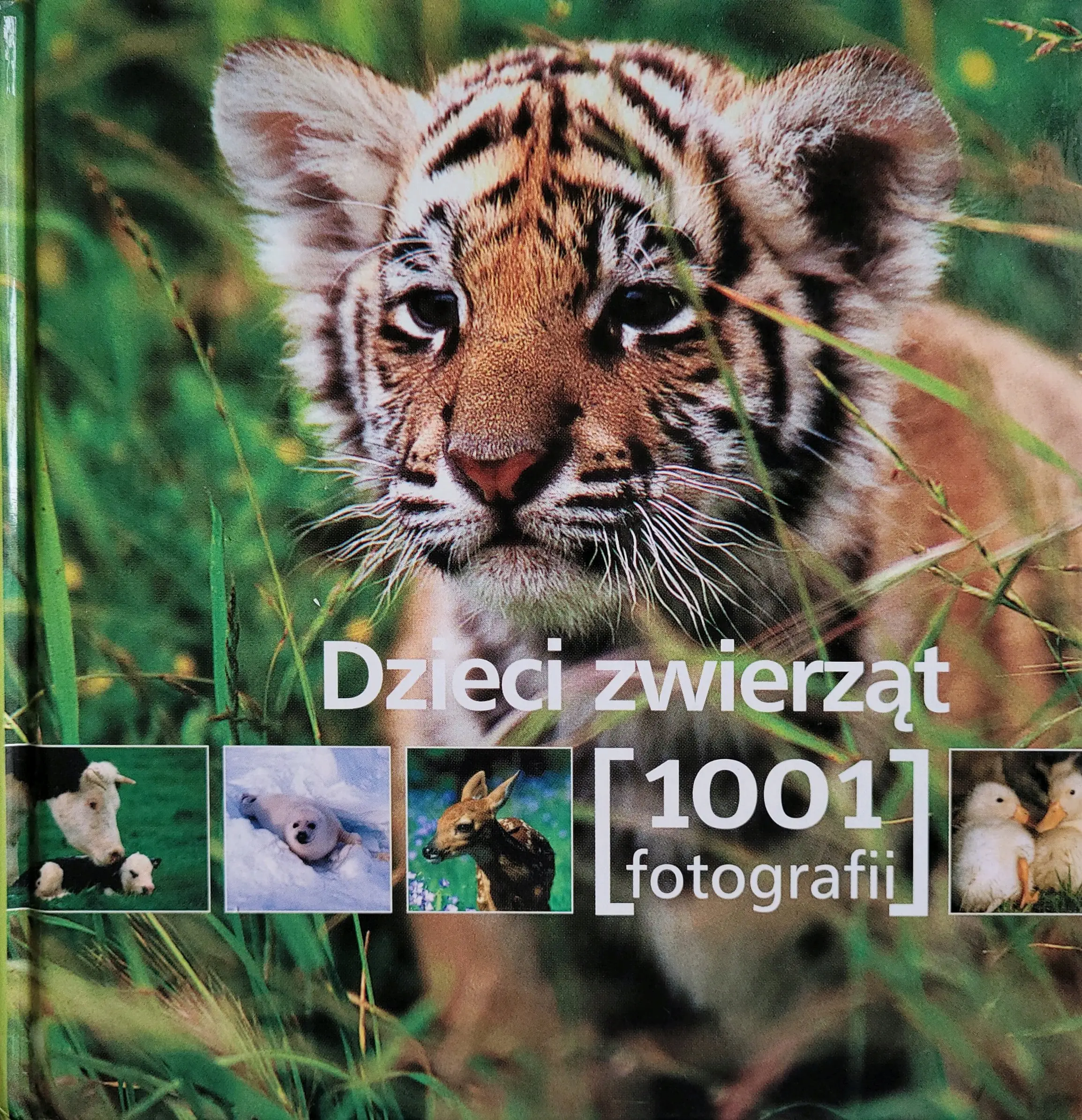 Książka - Dzieci zwierząt. 1001 fotografii