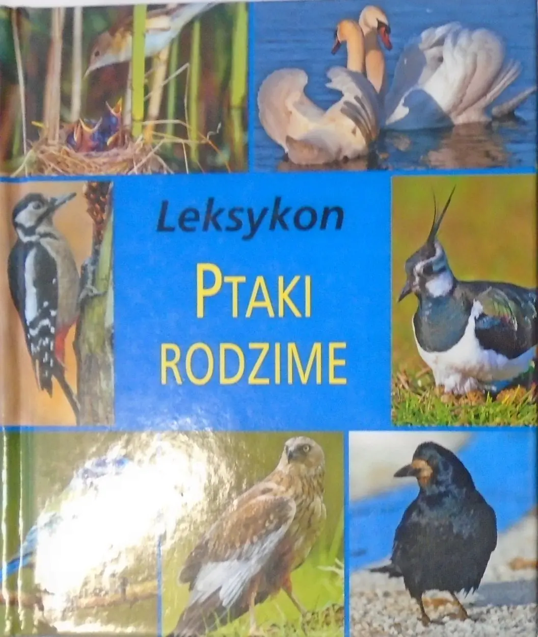 Książka - Ptaki Rodzime. Leksykon