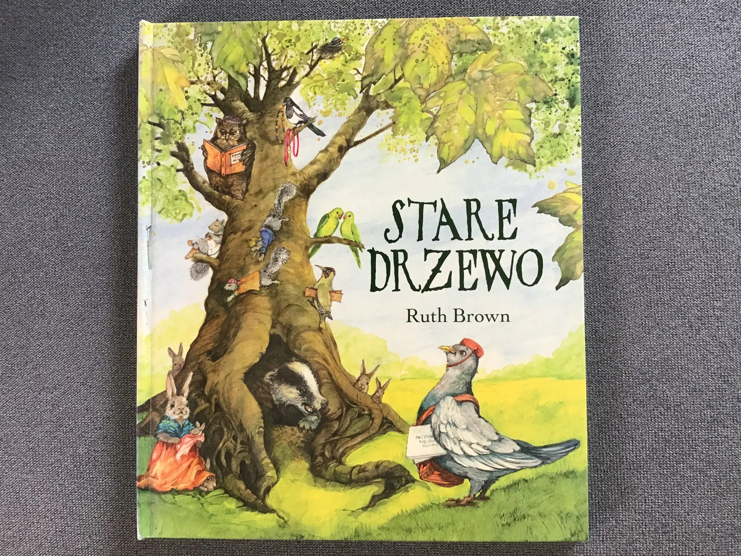 Książka - Stare drzewo