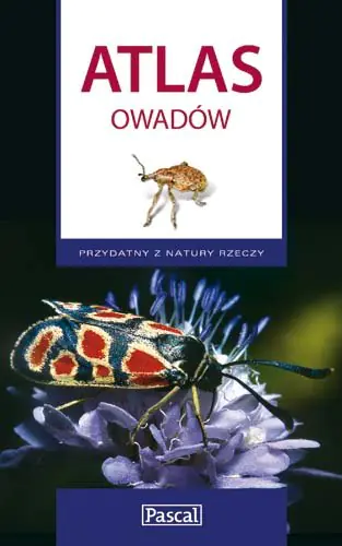 Książka - Atlas owadów