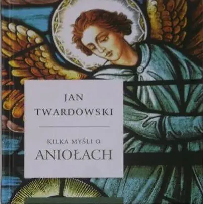 Książka - Kilka myśli o aniołach
