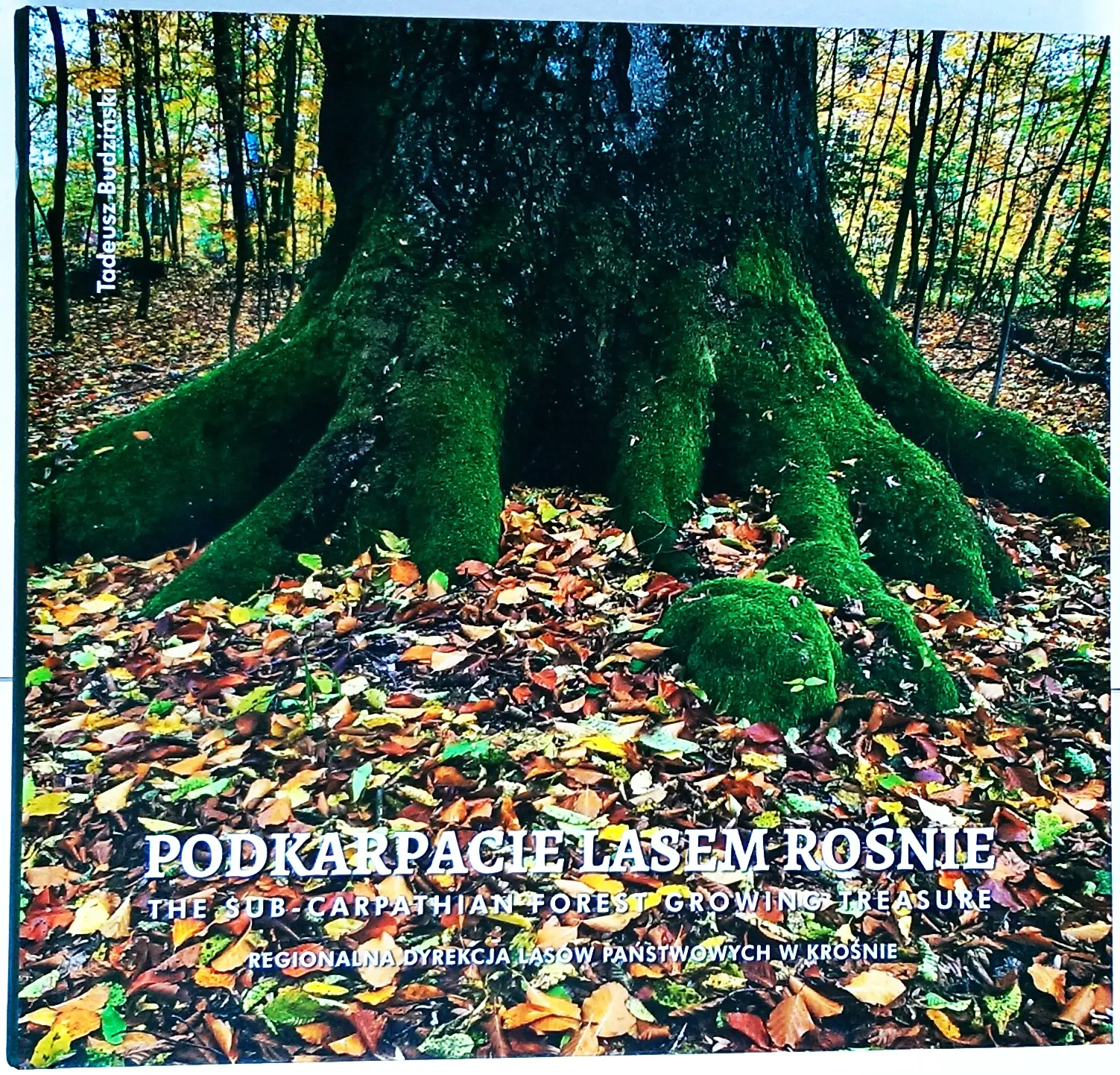 Książka - Podkarpacie lasem rośnie