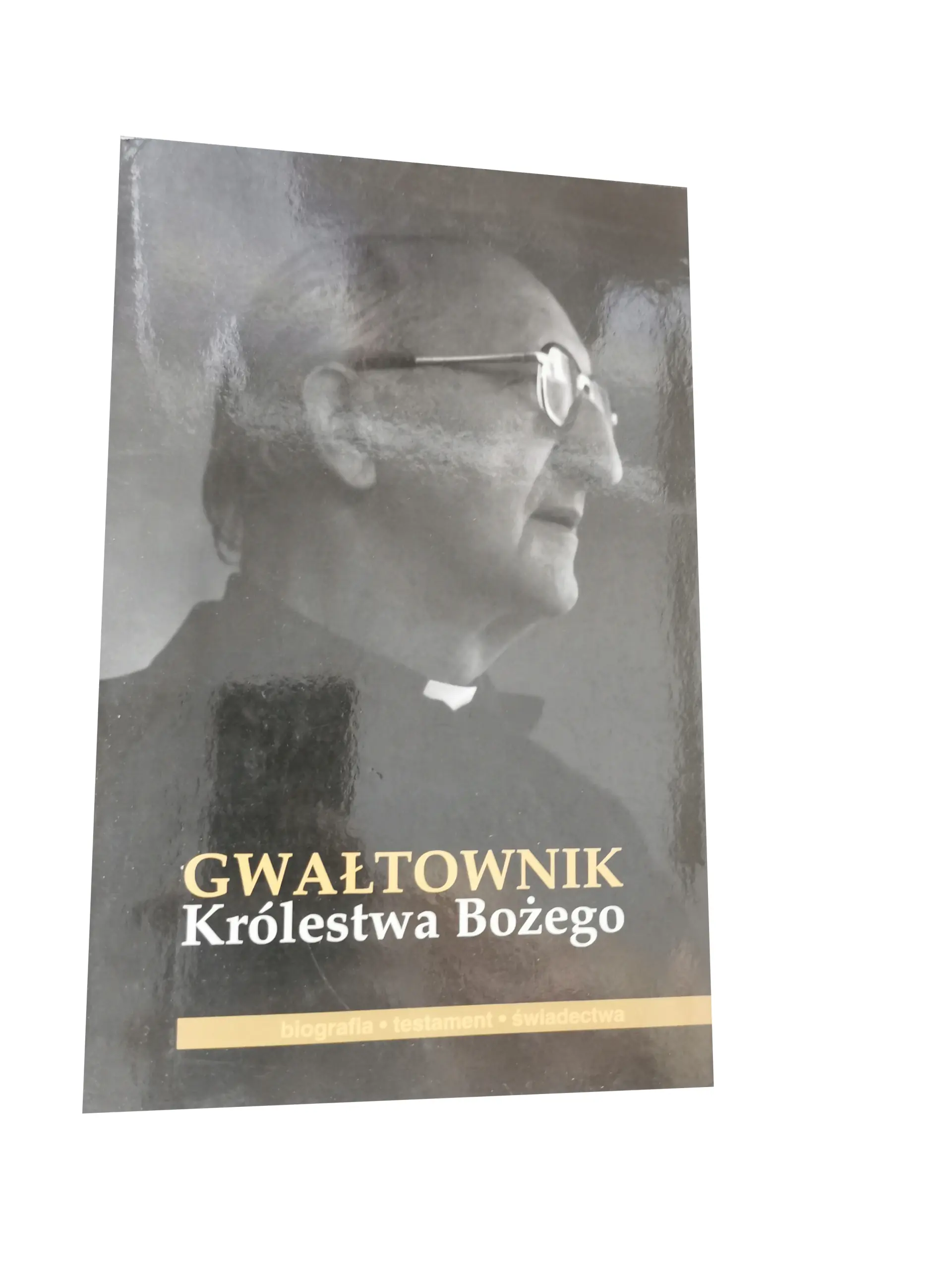 Książka - gwałtownik królestwa bożego