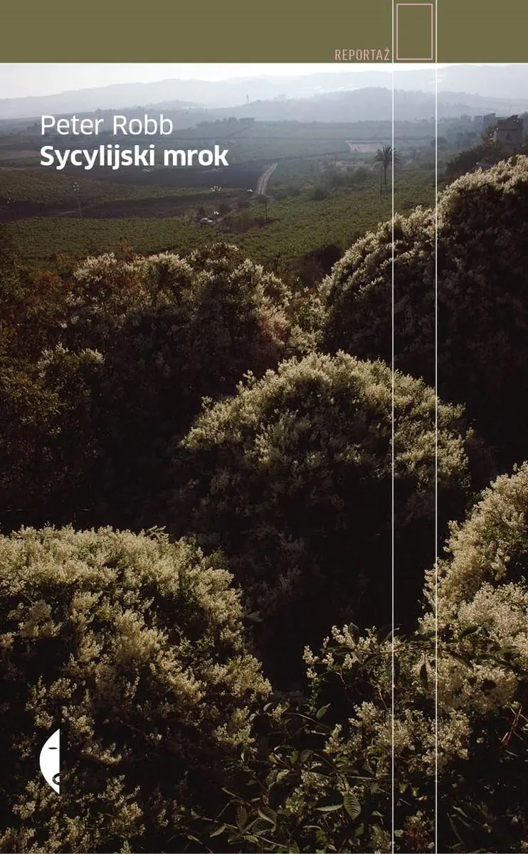 Książka - Sycylijski mrok