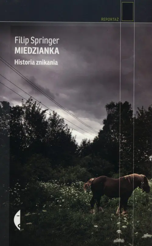 Książka - Miedzianka. Historia znikania