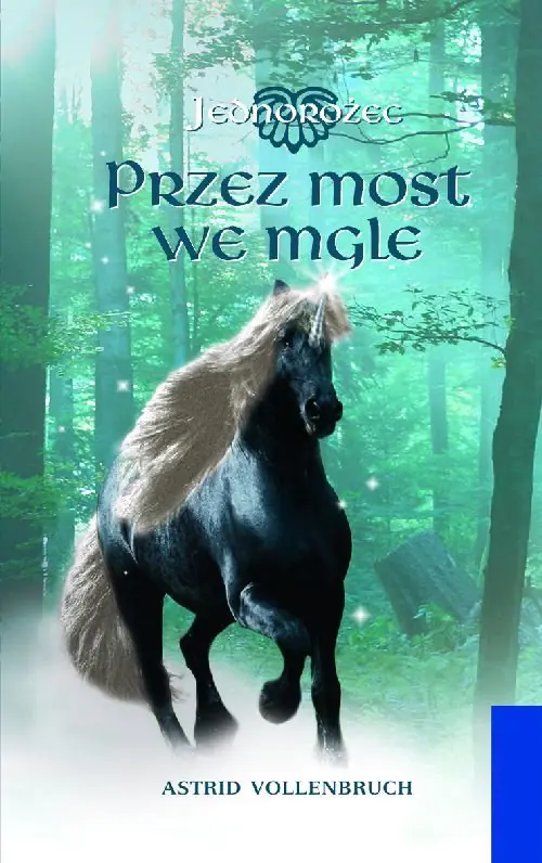 Książka - Przez most we mgle