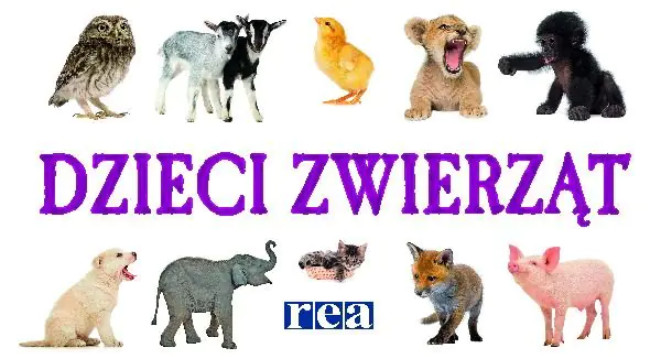 Książka - Dzieci zwierząt