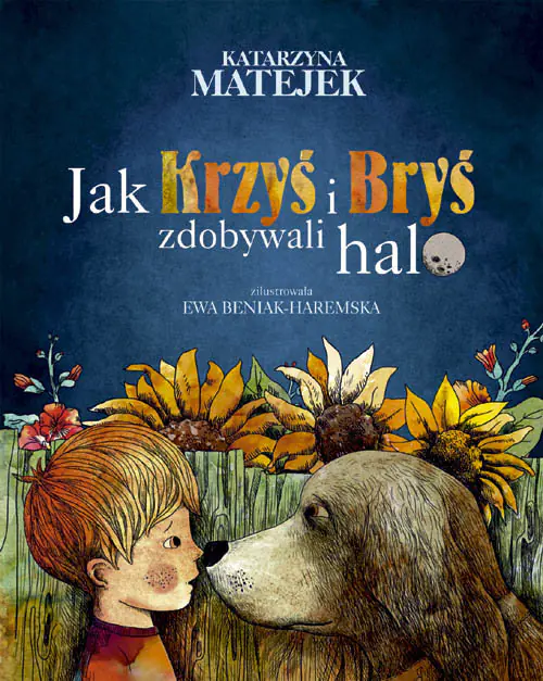 Książka - Jak Krzyś i Bryś zdobywali halo