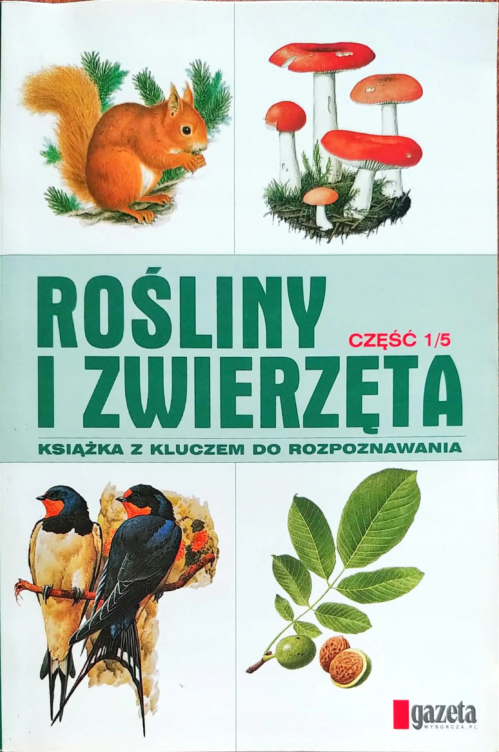 Książka - Rośliny i zwierzęta Książka z kluczem do rozpoznawania cz. 1