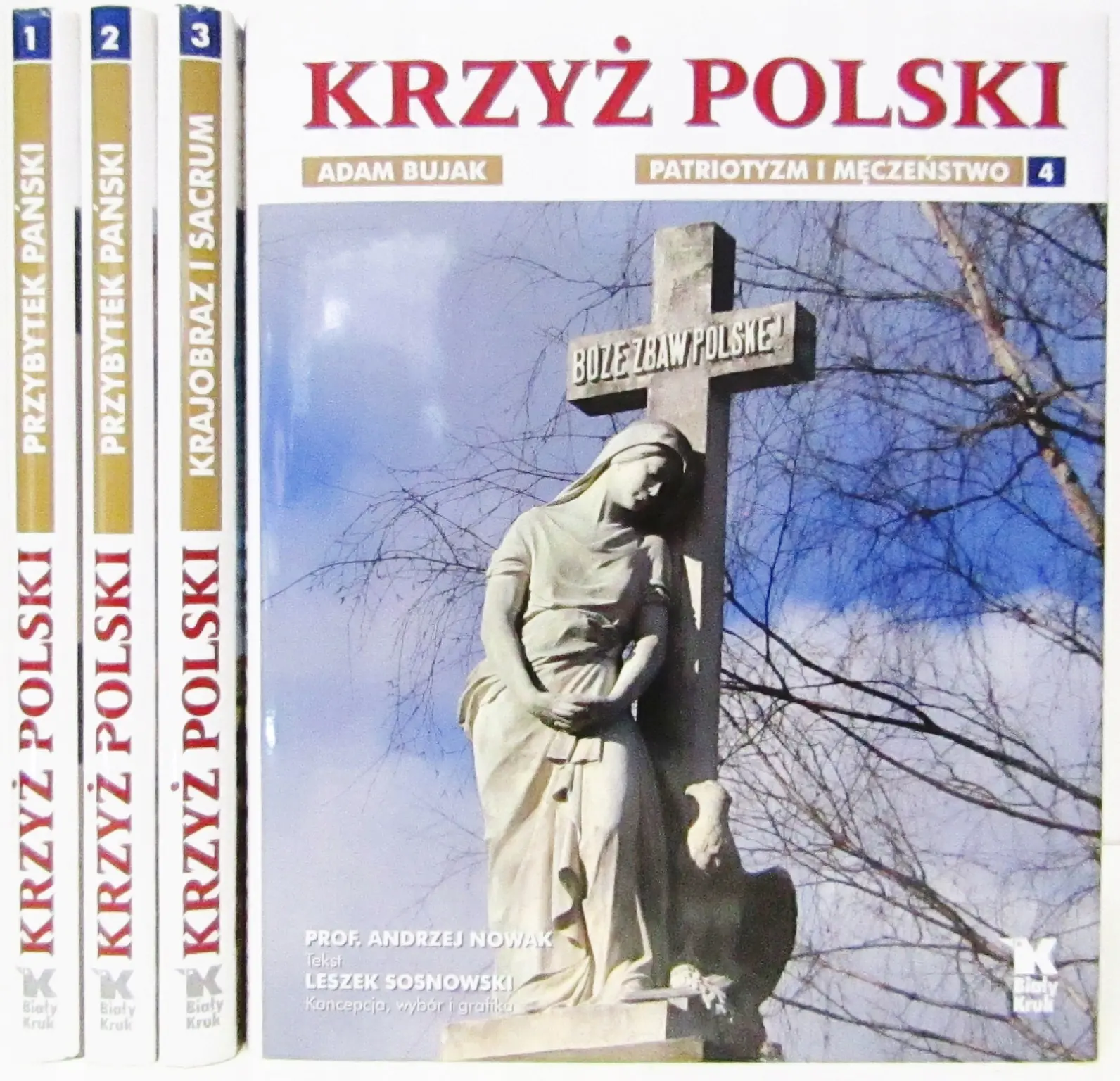 Książka - Krzyż Polski. Przybytek pański. Tom 1