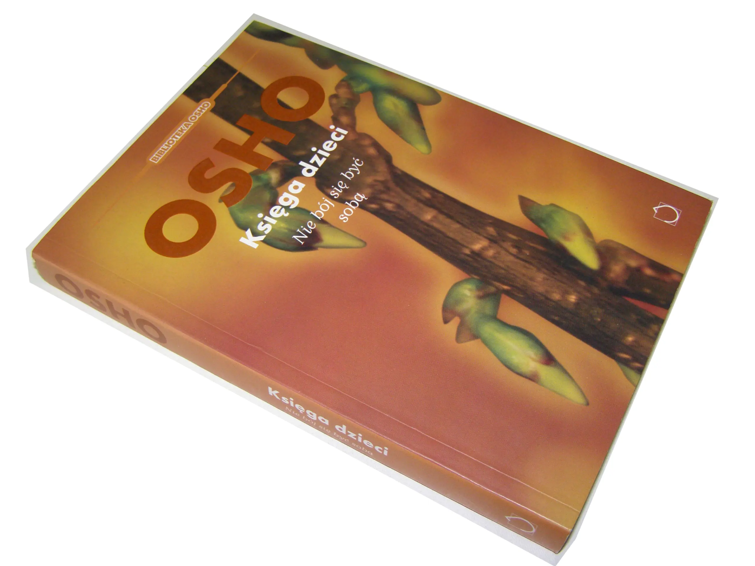 Książka - Księga dzieci Nie bój się być sobą