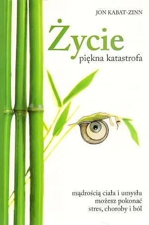 Książka - Życie, piękna katastrofa.