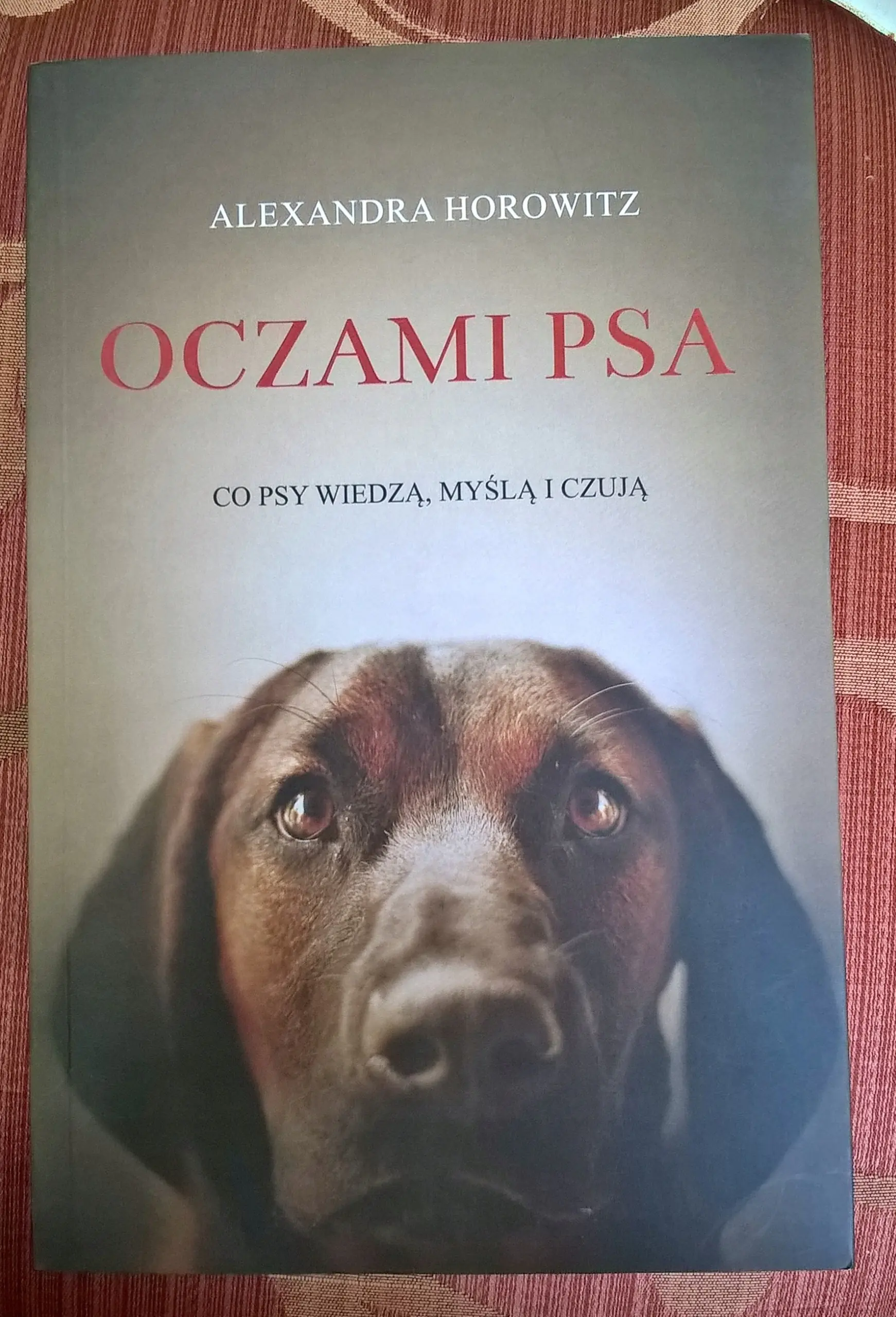 Książka - Oczami psa. Co psy widzą, czują i wiedzą