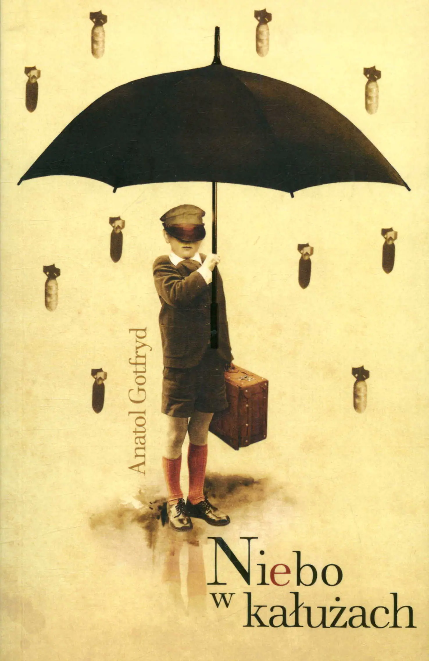 Książka - Niebo w kałużach