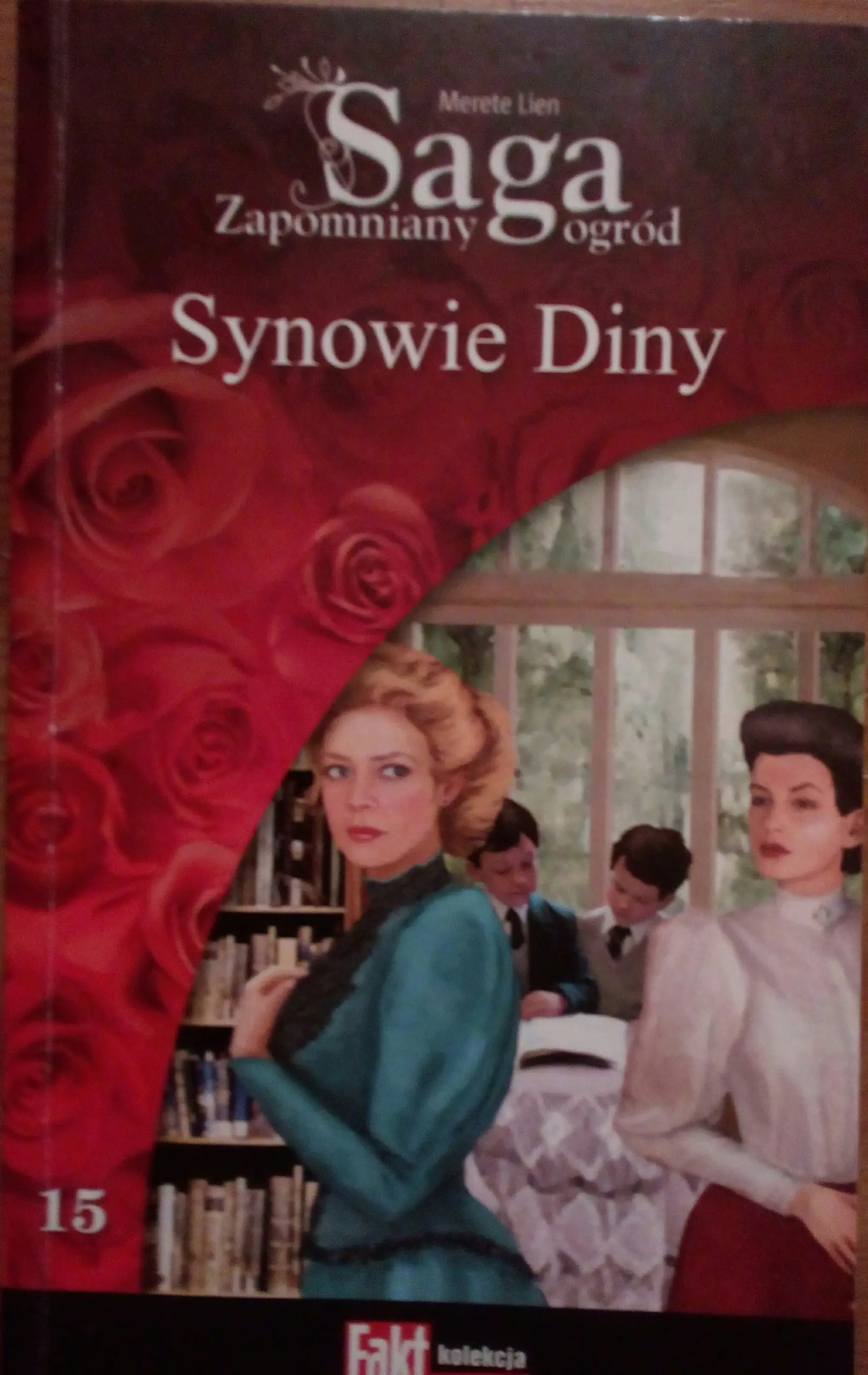 Książka - Synowie Diny