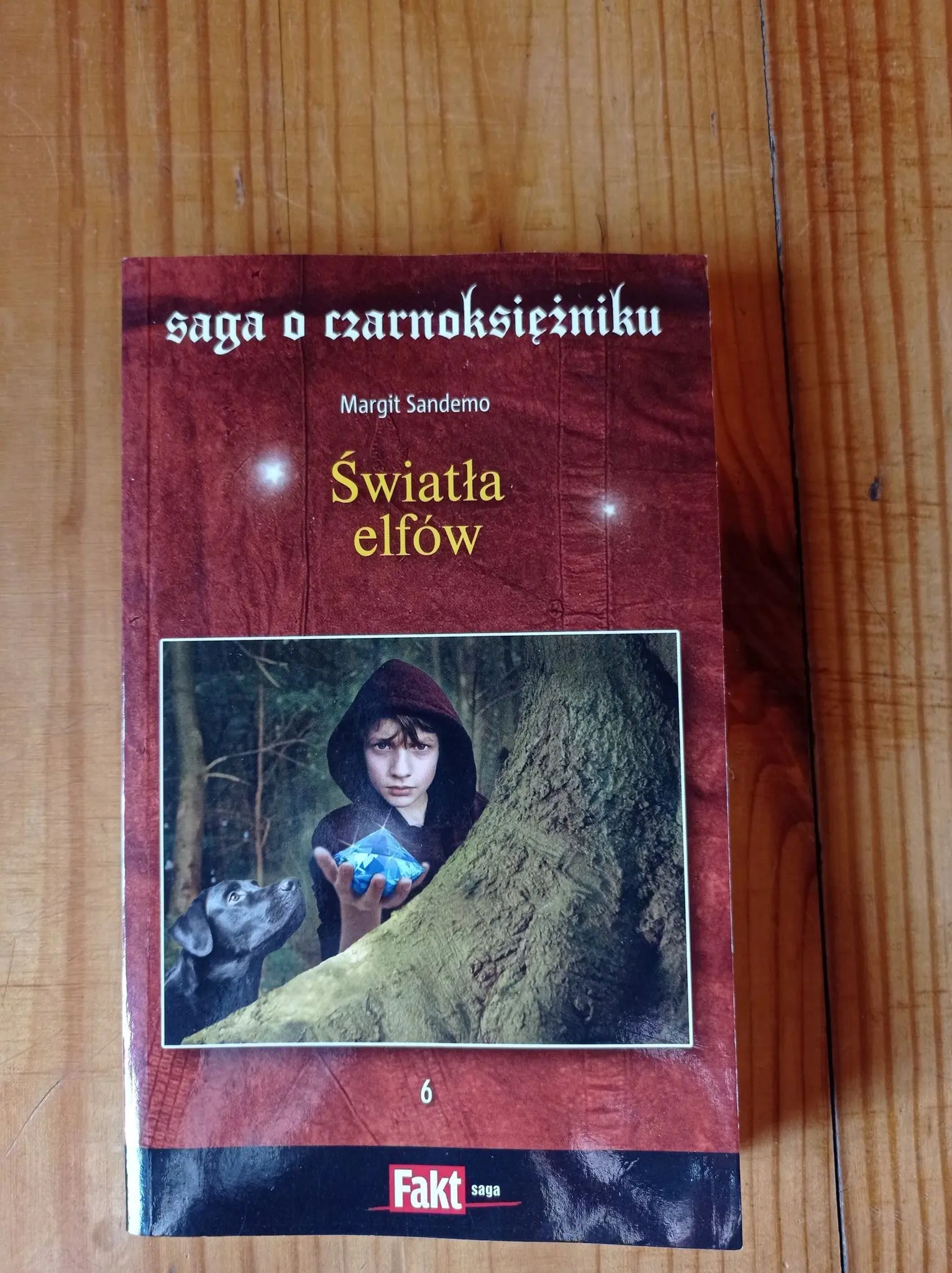 Książka - SAGA O CZARNOKSIĘZNIKU TOM 6 ŚWIATŁA ELFÓW