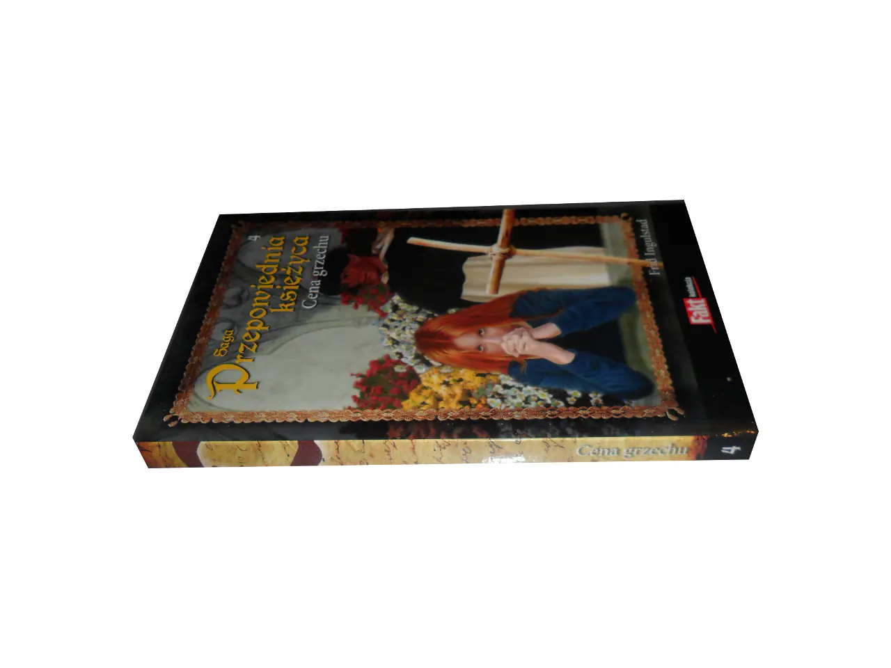 Książka - Cena grzechu