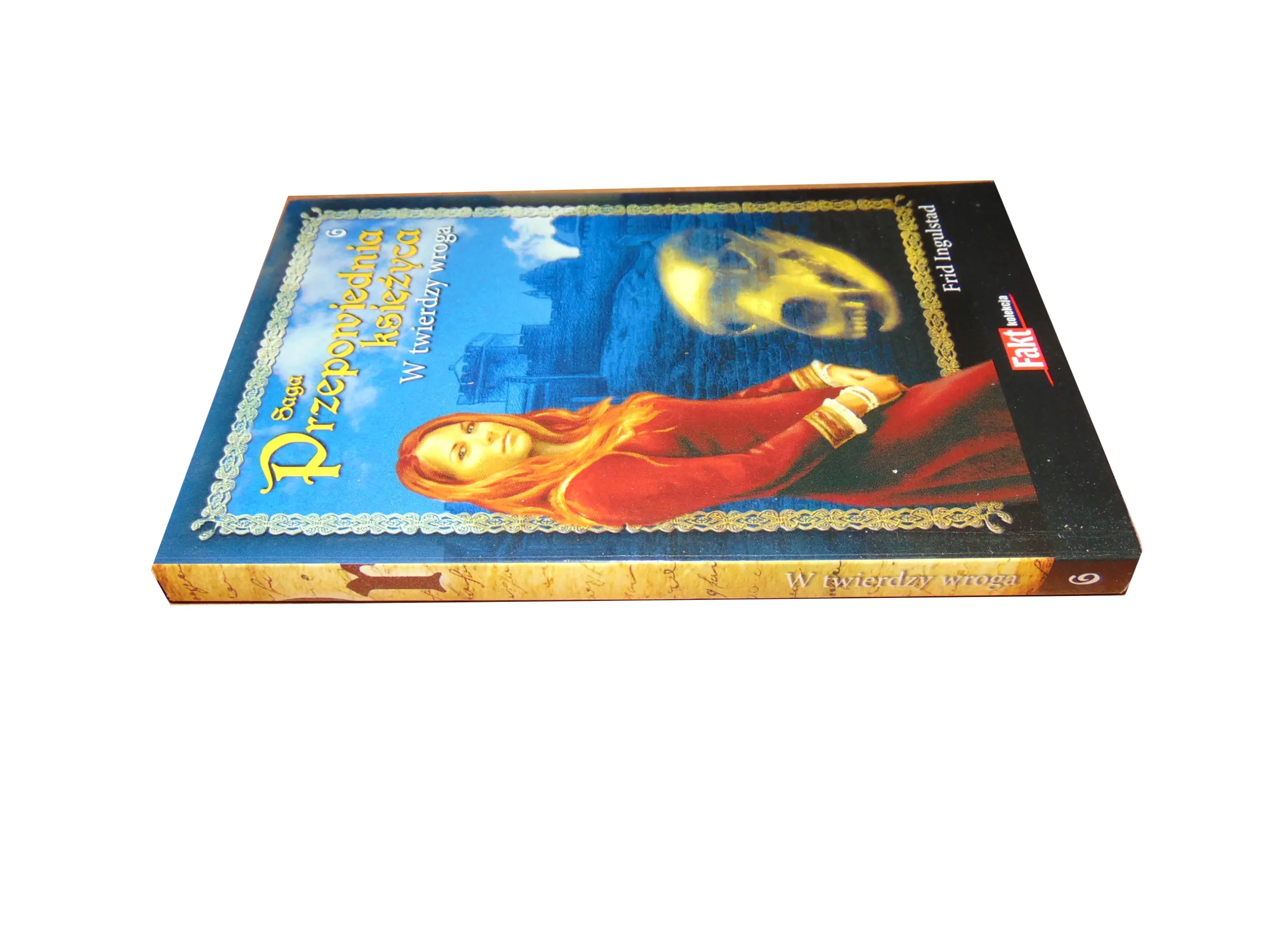 Książka - W twierdzy wroga