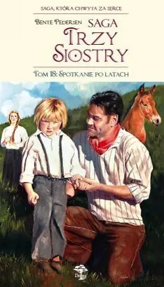 Książka - Spotkanie po latach