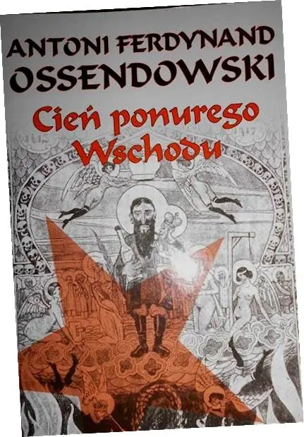 Książka - Cień ponurego wschodu
