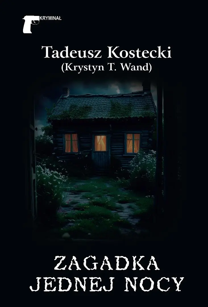 Książka - Zagadka jednej nocy