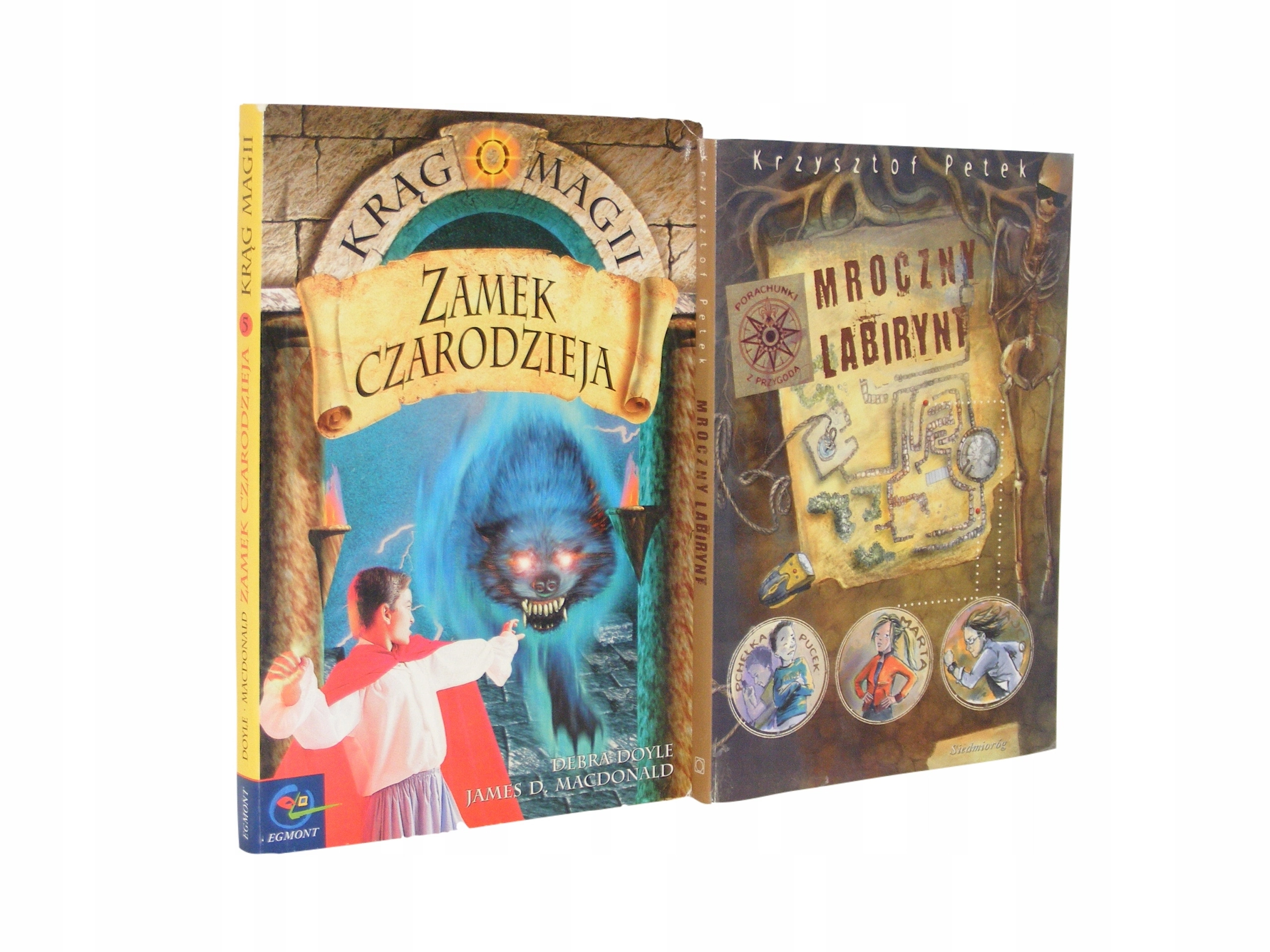 Książka - Mroczny labirynt