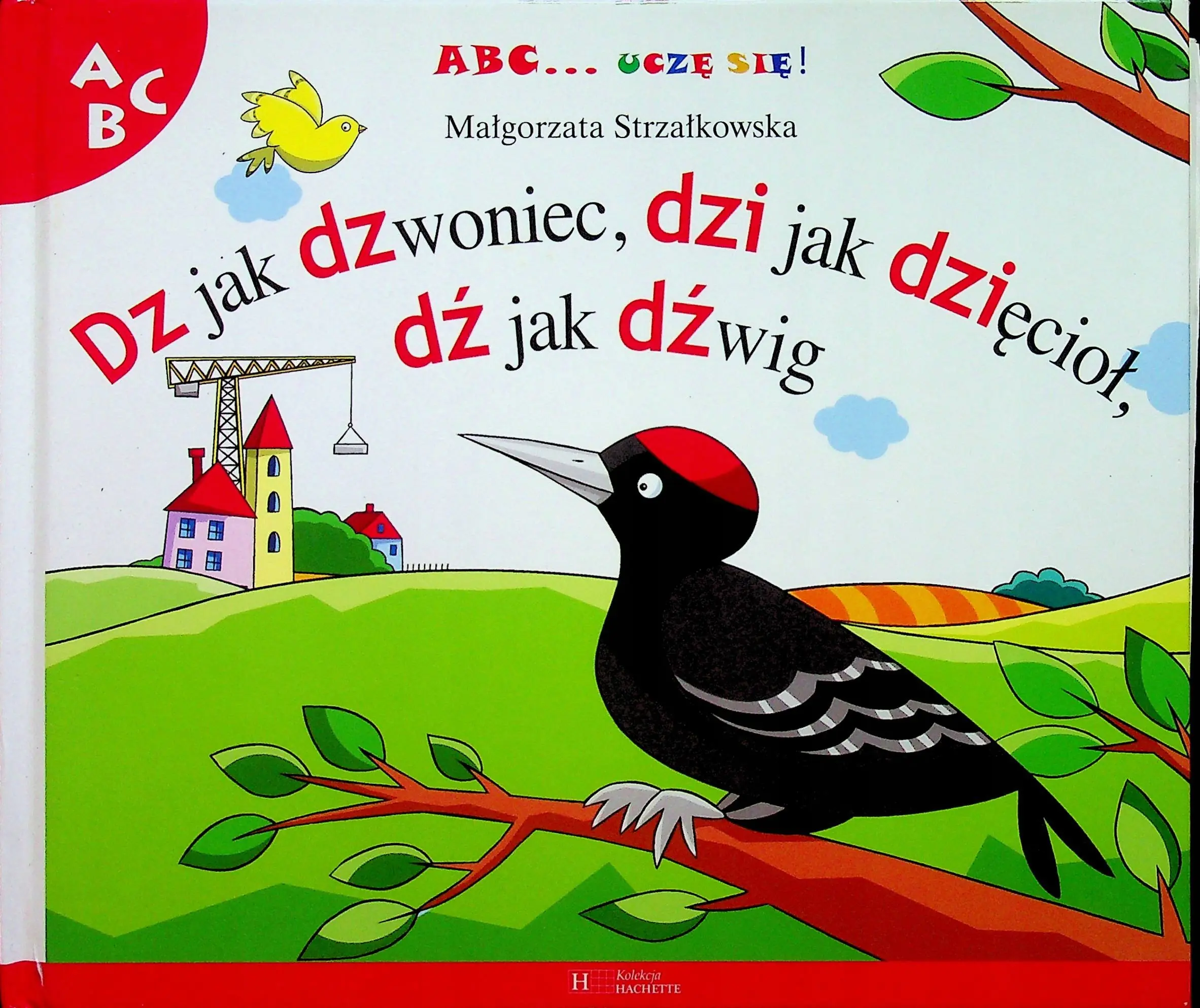 Książka - Dz jak dzwoniec, dzi jak dzięcioł, dź jak dźwig