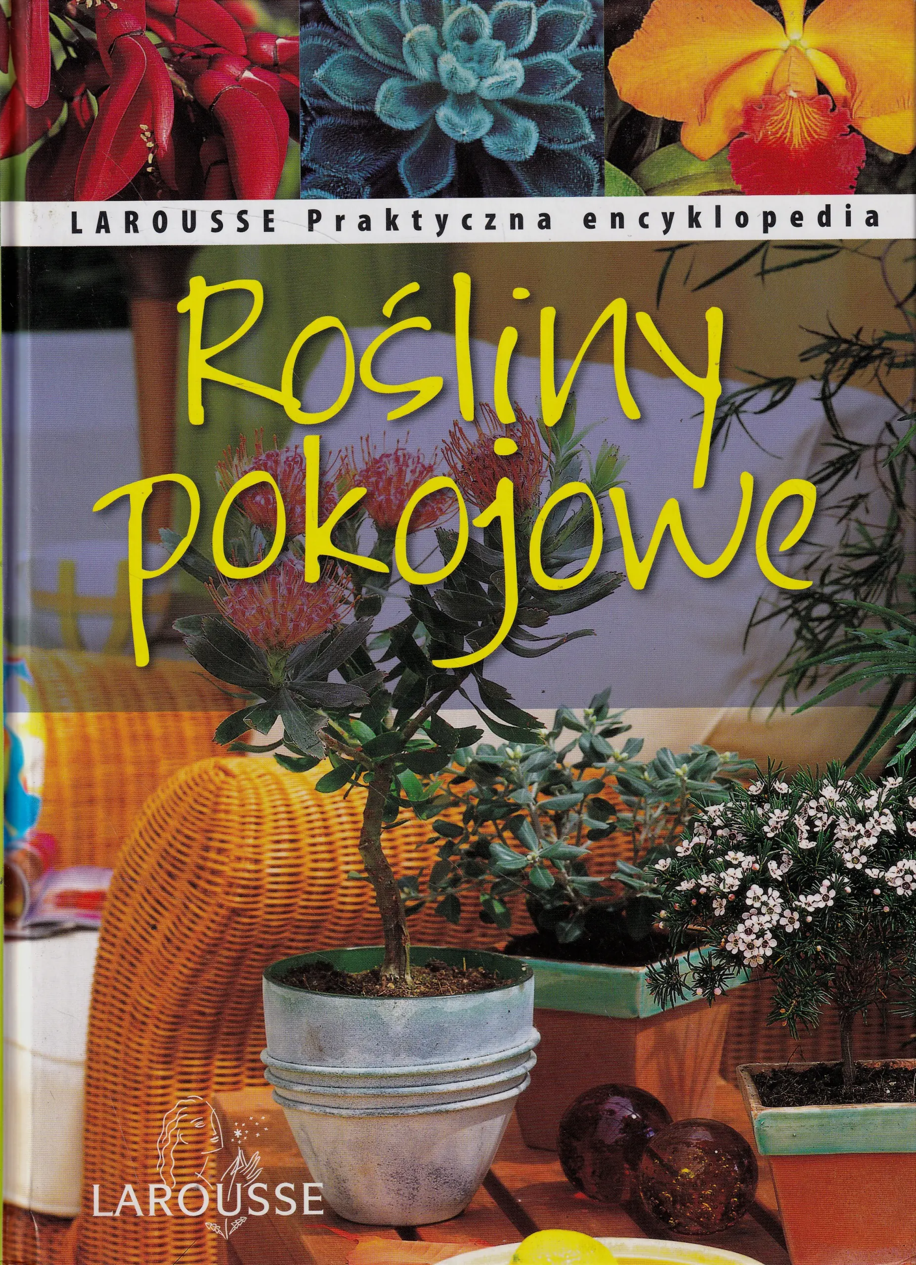Książka - Rośliny pokojowe. Praktyczna encyklopedia