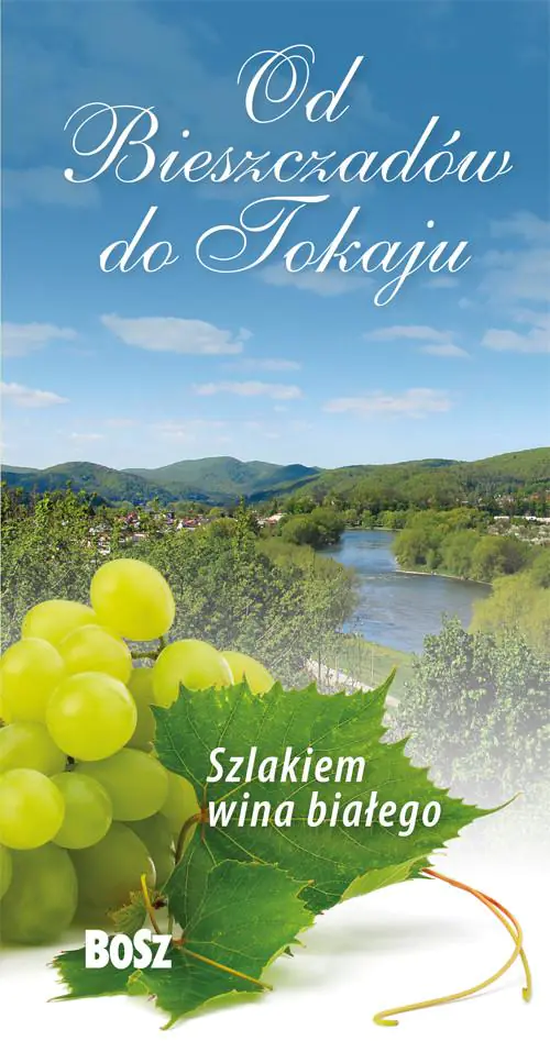 Książka - Od Bieszczadów do Tokaju. Szlakiem wina białego