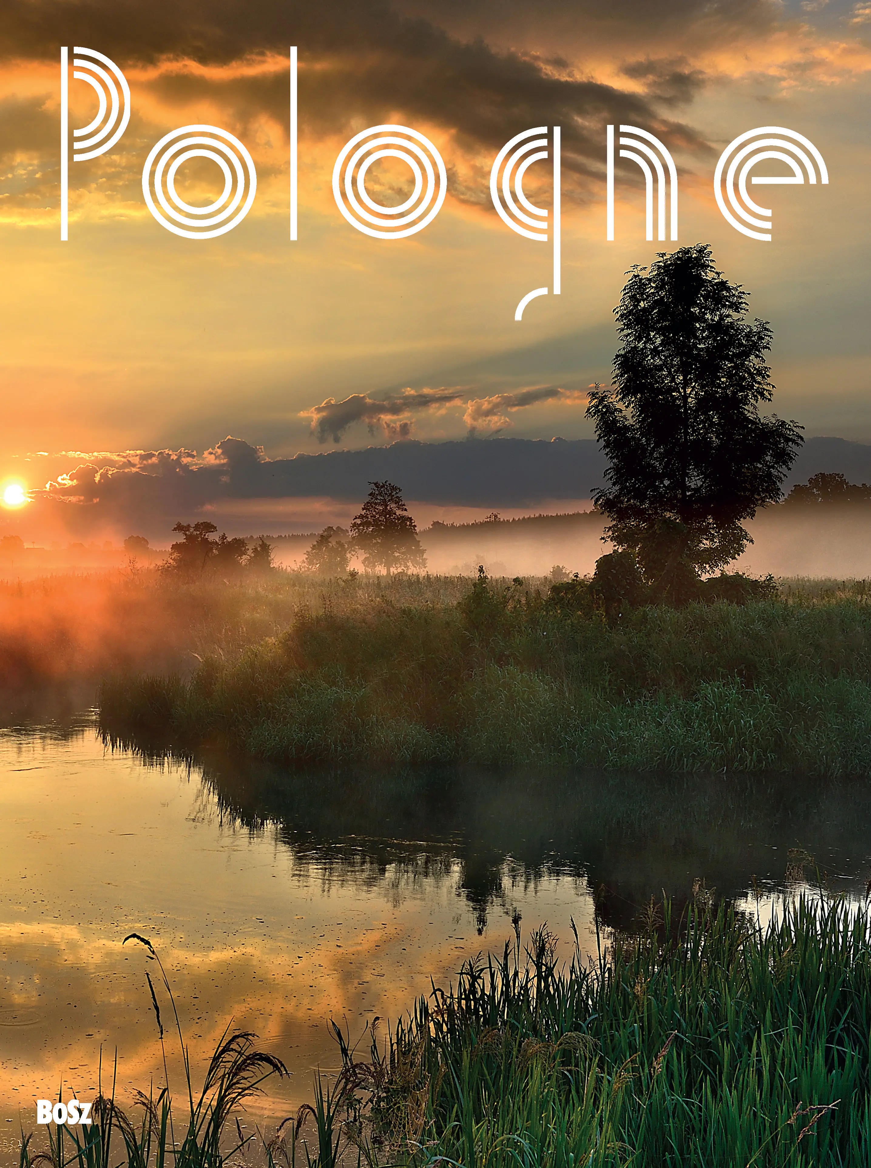 Książka - Pologne (wersja francuska)
