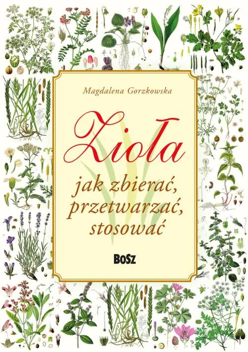 Książka - Zioła. Jak zbierać, przetwarzać, stosować