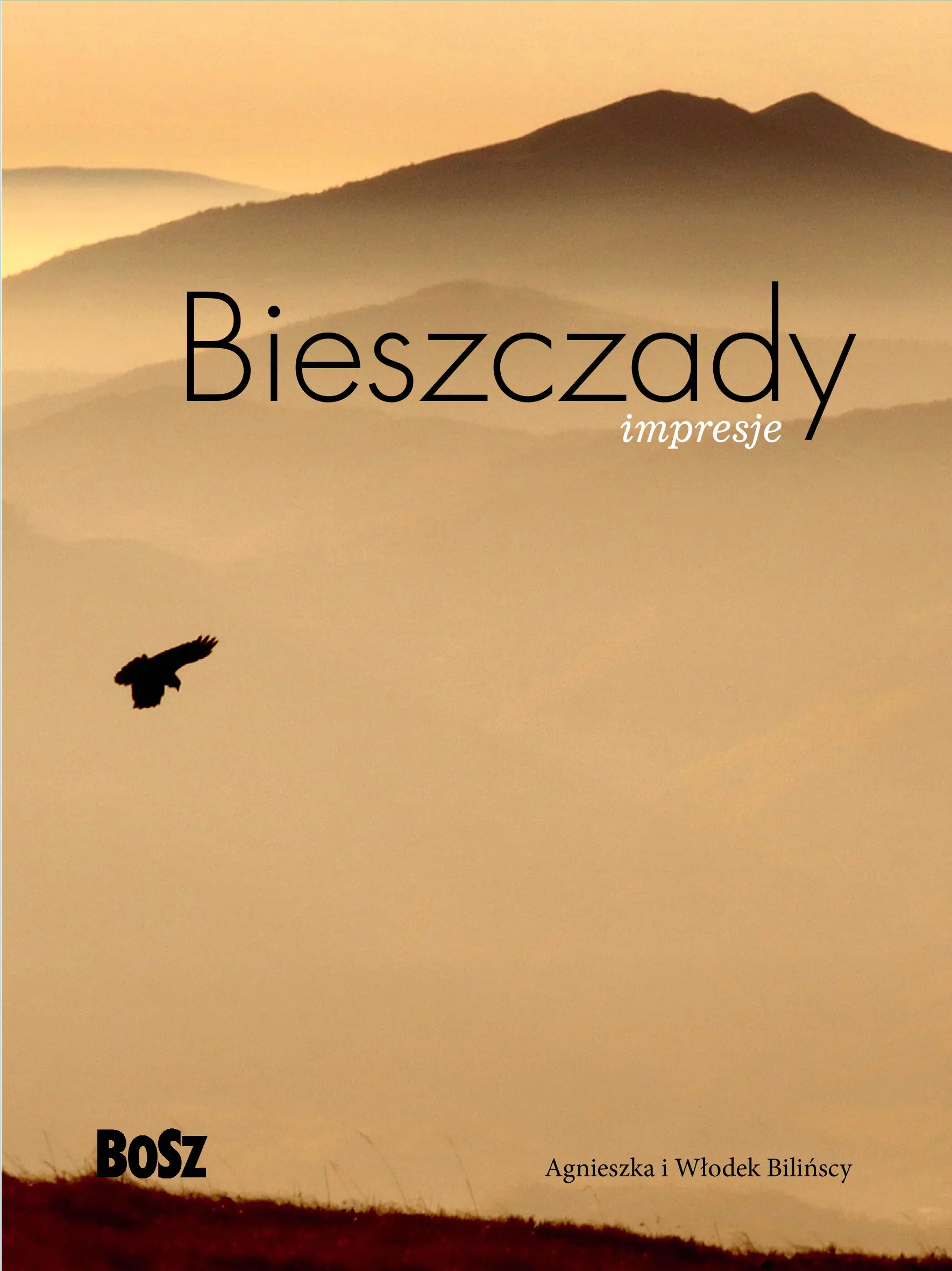 Książka - Bieszczady. Impresje