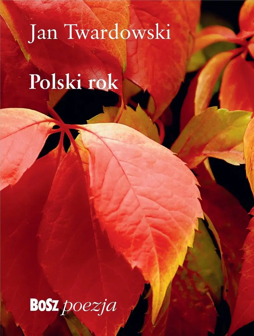 Książka - Polski rok