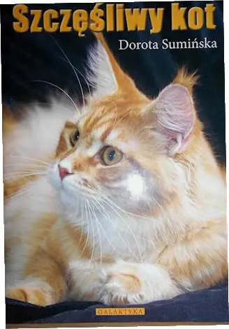 Książka - Szczęśliwy kot
