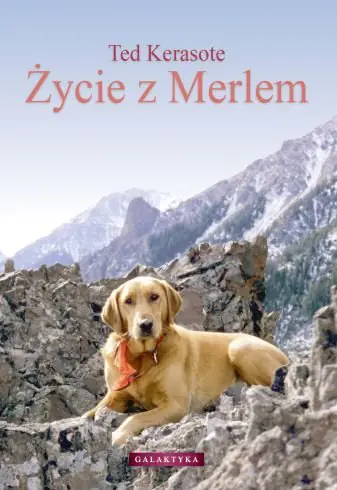 Książka - Życie z Merlem