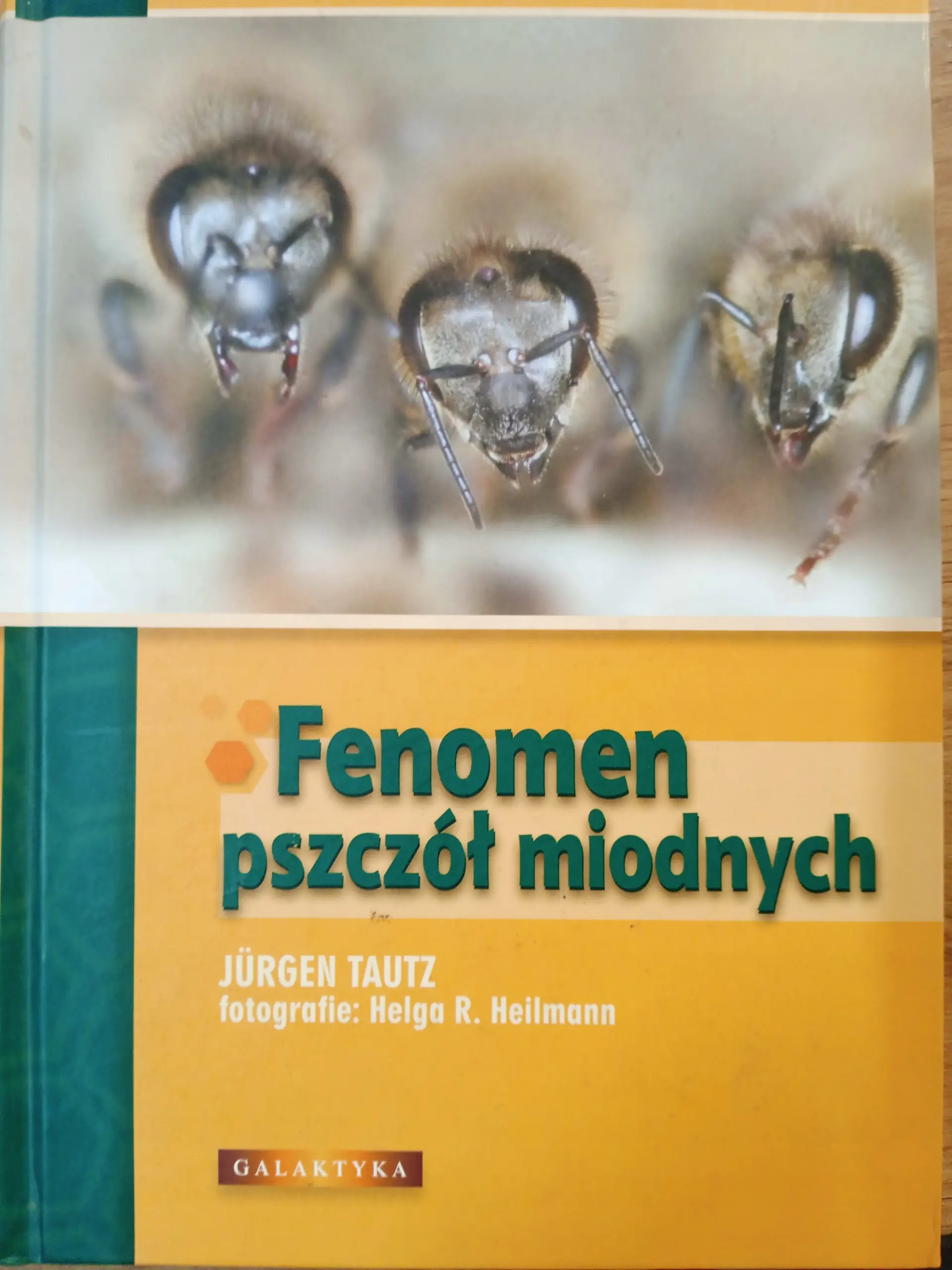 Książka - Fenomen pszczół miodnych