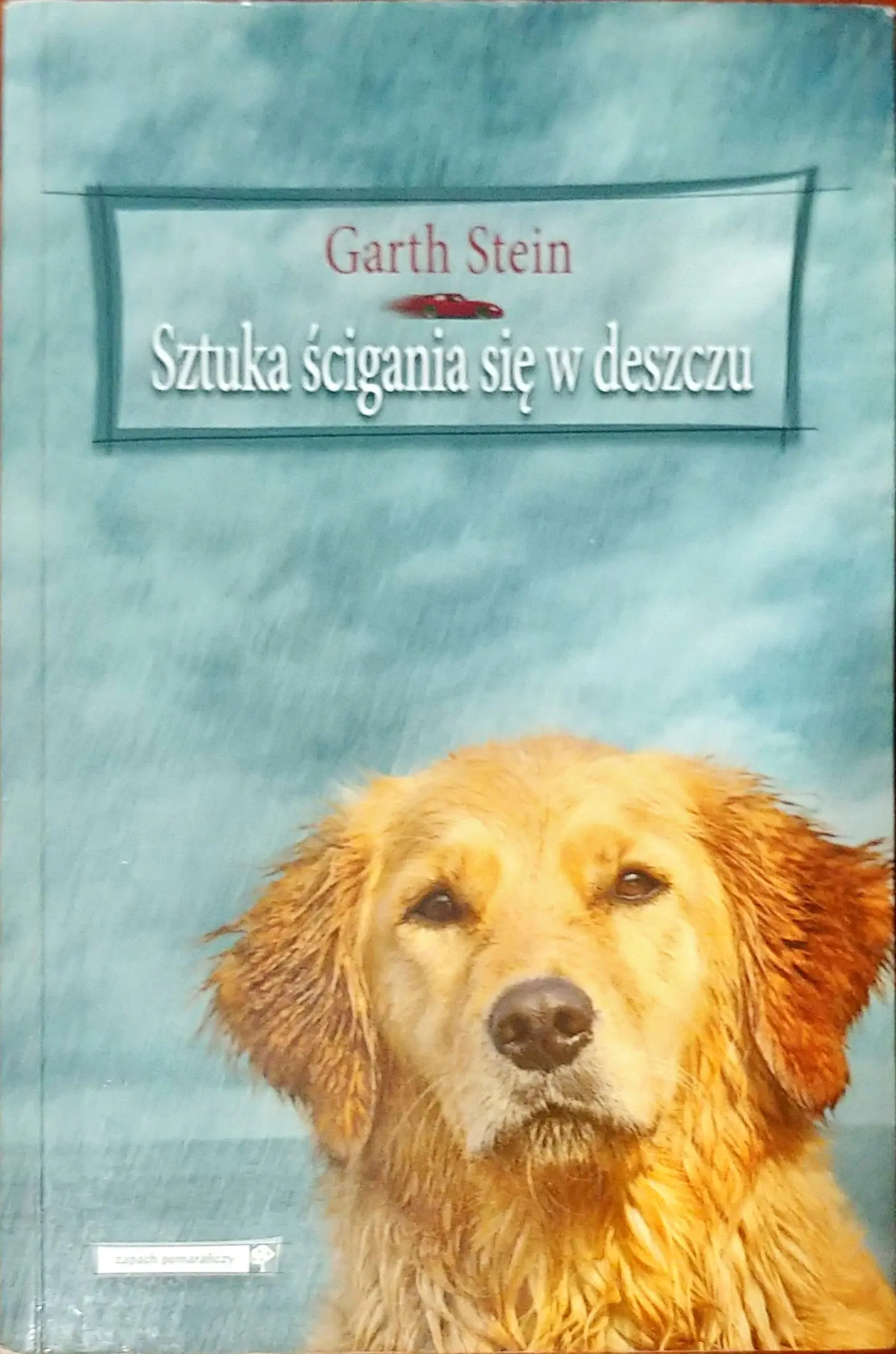 Książka - Sztuka ścigania się w deszczu