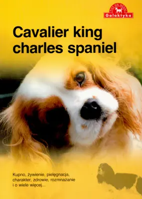 Książka - Pies na medal. Cavalier king charles spaniel