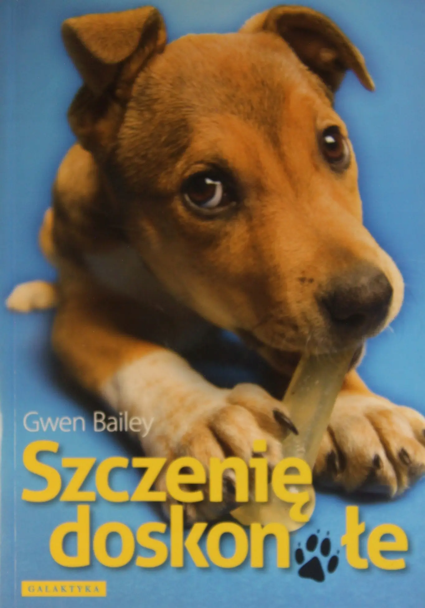 Książka - Szczenię doskonałe