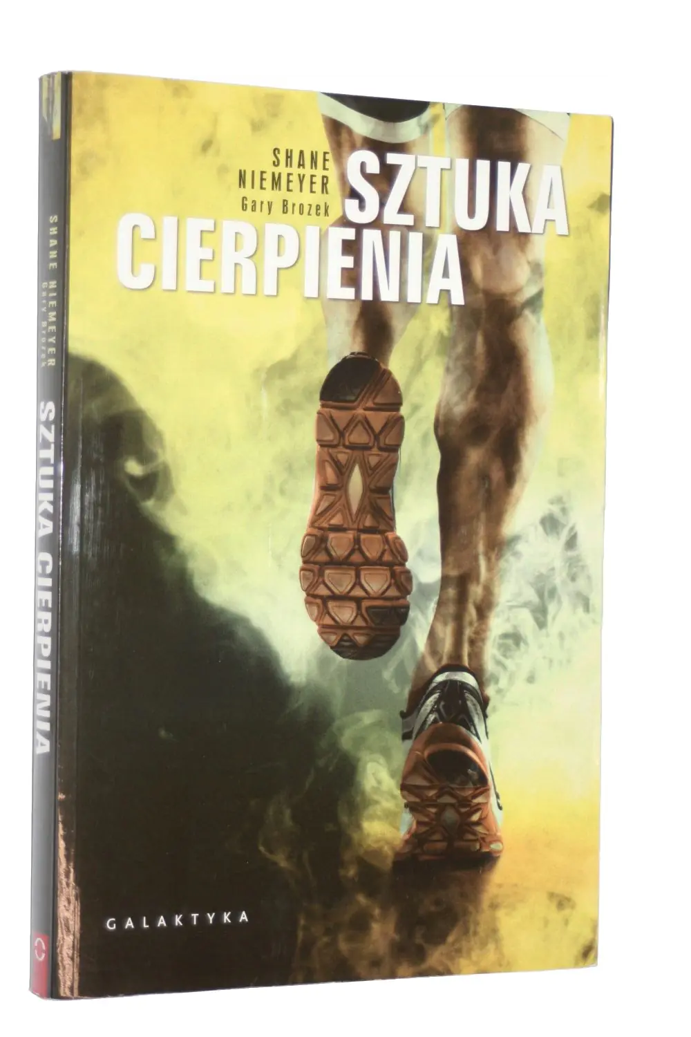 Książka - Sztuka cierpienia