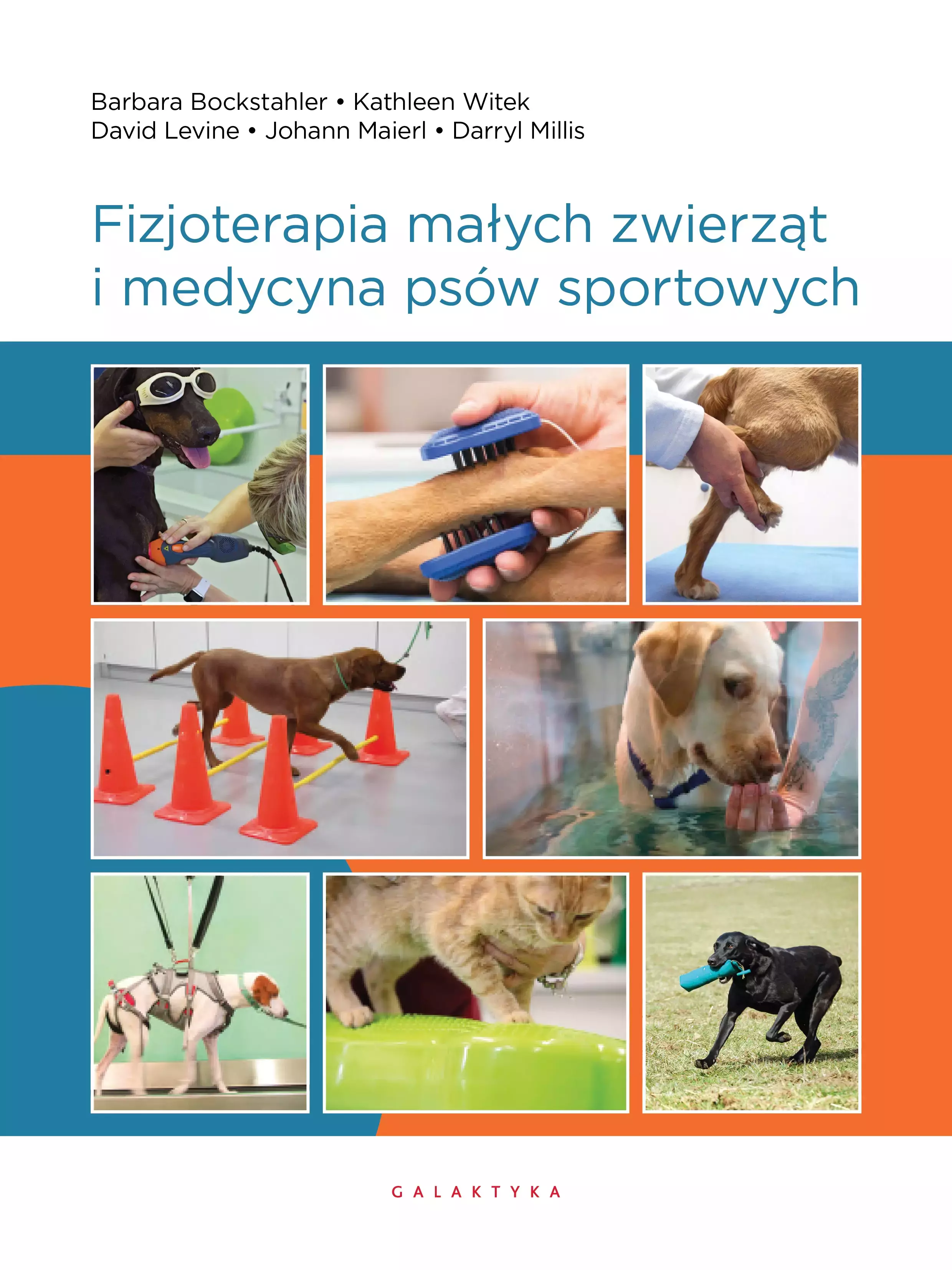 Książka - Fizjoterapia małych zwierząt i medycyna psów sportowych