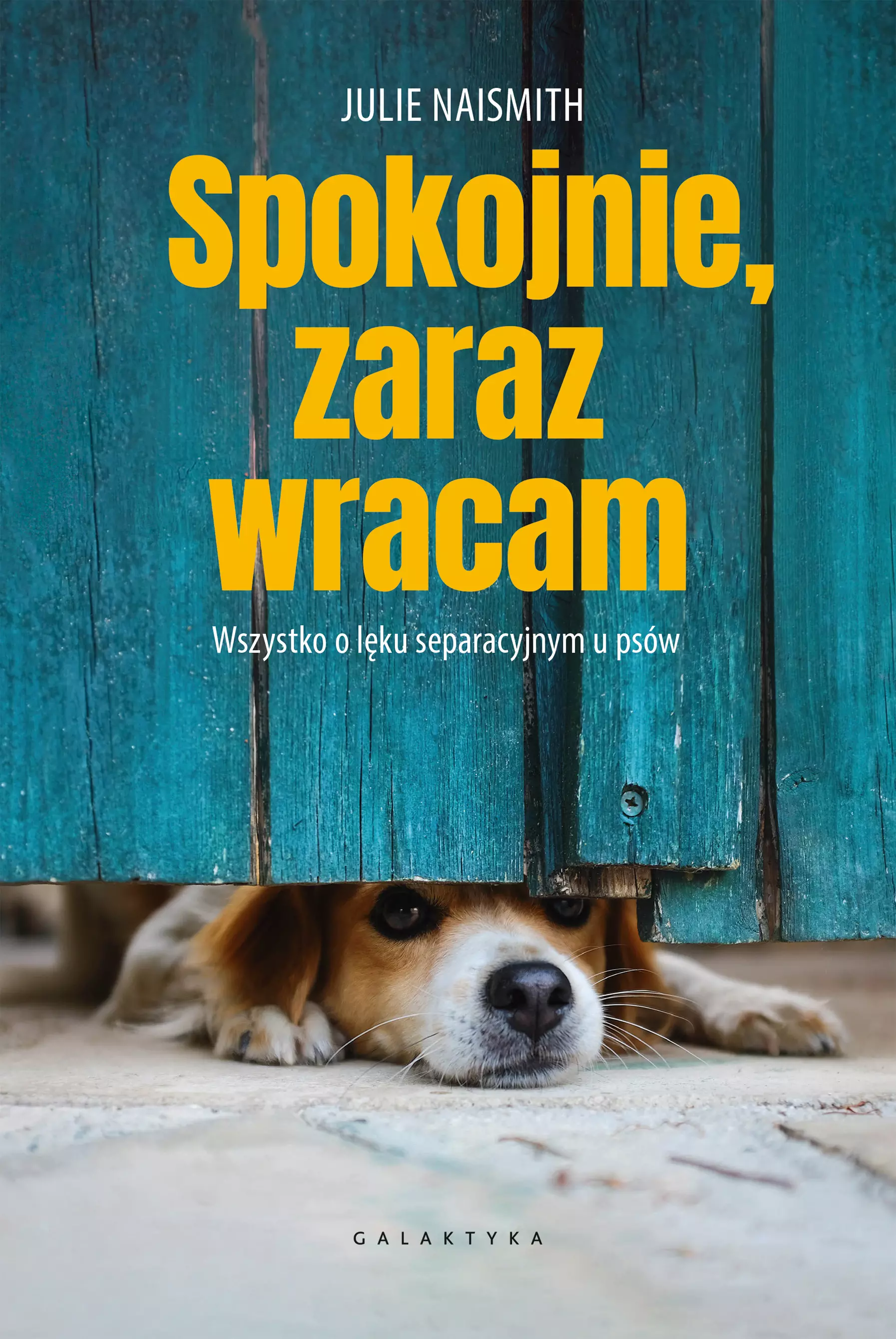 Książka - Spokojnie, zaraz wracam. Wszystko o lęku separacyjnym u psów