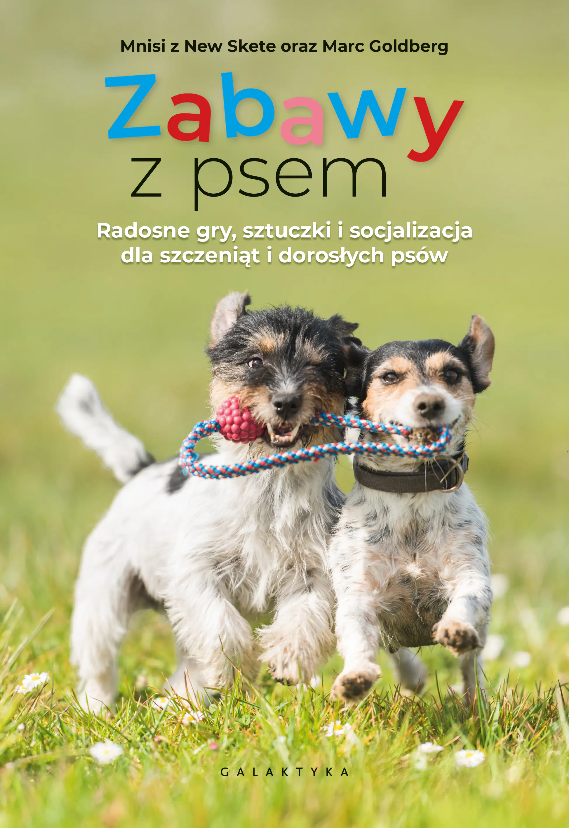 Książka - Zabawy z psem. Radosne gry, sztuczki i zabawy socjalizujące dla szczeniąt i dorosłych psów