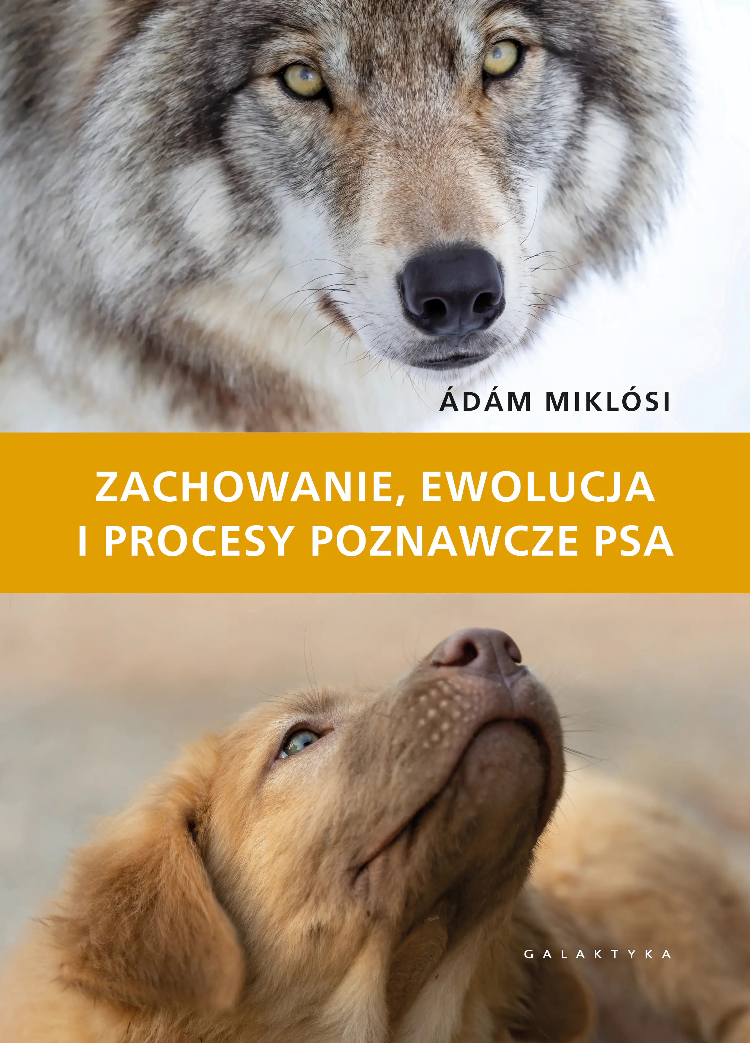 Książka - Zachowanie, ewolucja i procesy poznawcze psa