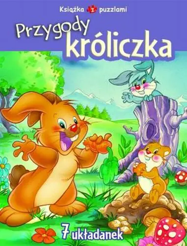Książka - Przygody króliczka