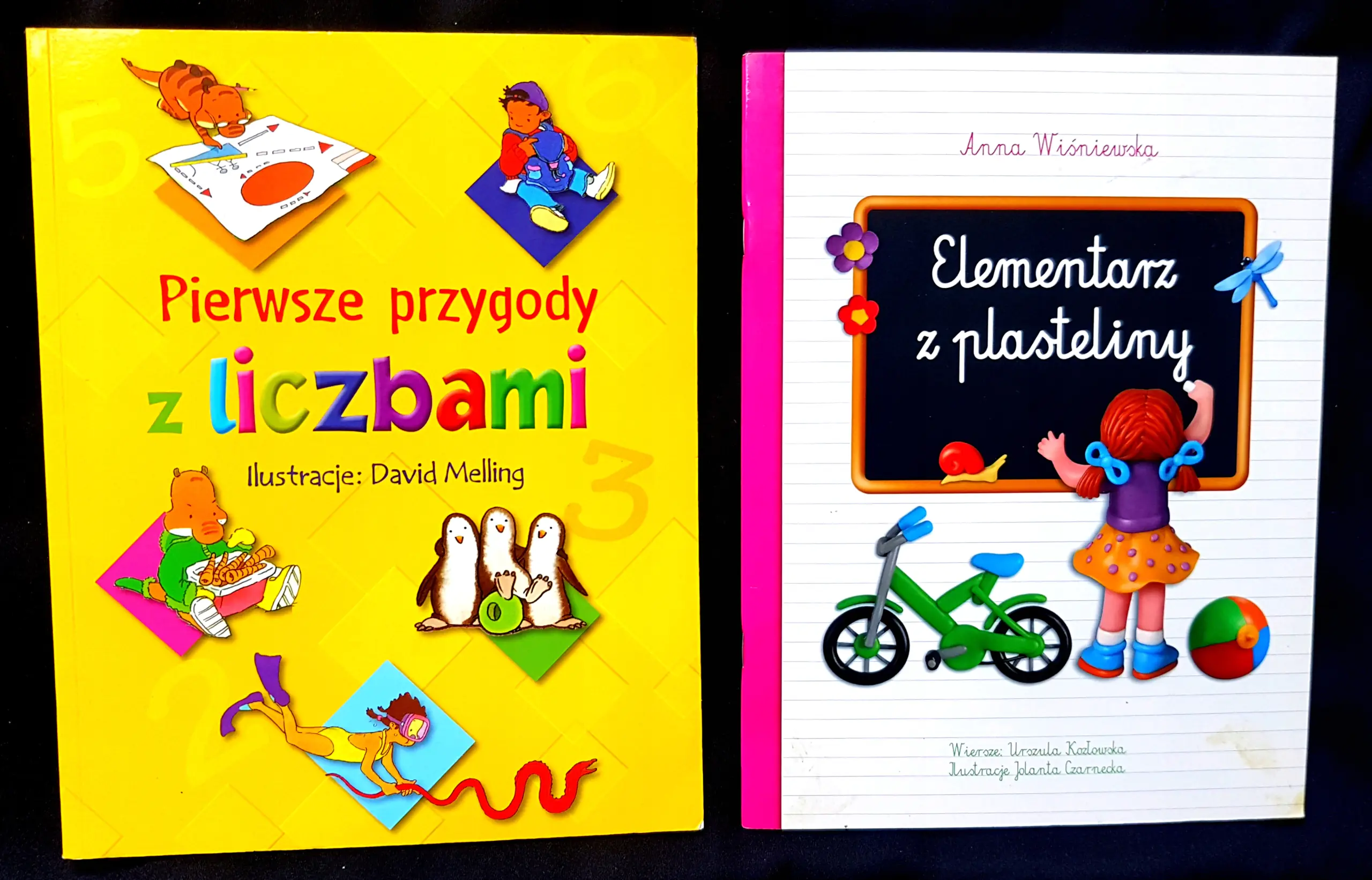Książka - Pierwsze przygody z liczbami